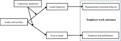 Under the mask: The double-edged sword effect of leader self-sacrifice on employee work outcomes